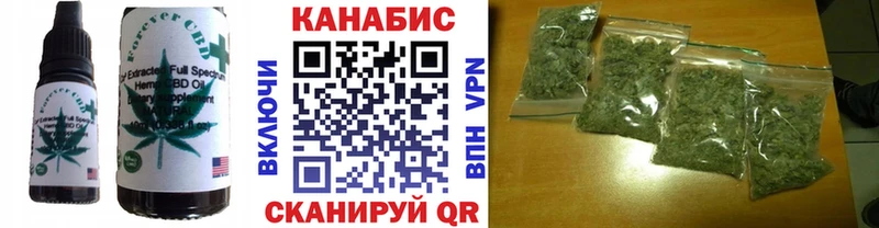 Купить закладки  Котовск  Cannafood марихуана 