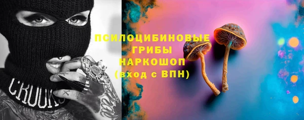 твердый Володарск