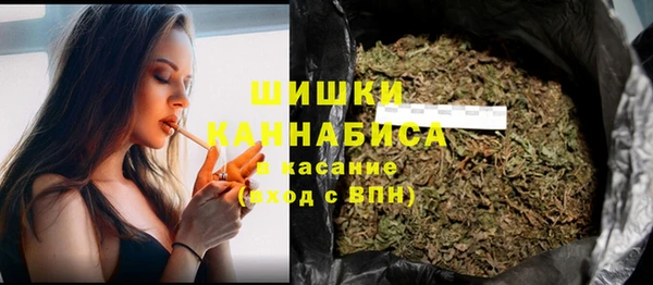 твердый Володарск