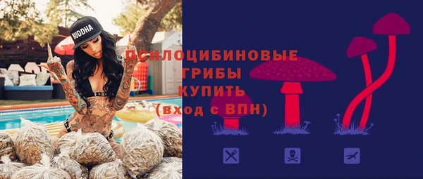 mdpv Волоколамск