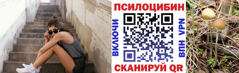 Галлюциногенные грибы Psilocybe  Купить закладки  Котовск 
