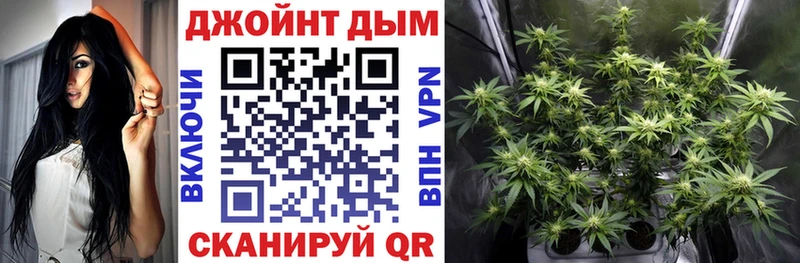 Купить где  Котовск  Бошки Шишки семена 